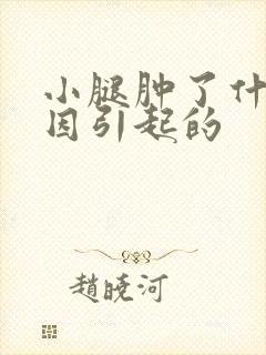 小腿肿了什么原因引起的