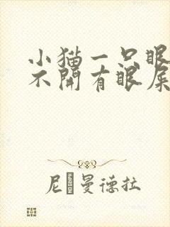 小猫一只眼睛睁不开有眼屎