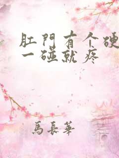 肛门有个硬疙瘩一碰就疼