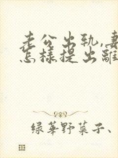 老公出轨,妻子怎样提出离婚