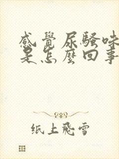 感觉尿骚味很重是怎么回事