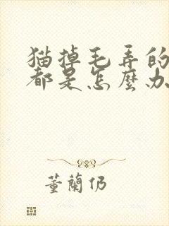 猫掉毛弄的到处都是怎么办