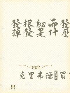 发根细而发尾粗掉发是什么原因