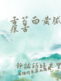 舌苔白黄腻有齿痕舌