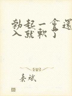 勃起一会还没插入就软了