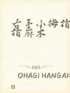 右手小拇指无名指麻木