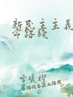 新民主主义的革命路线