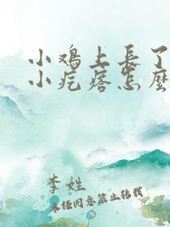 小鸡上长了一个小疙瘩怎么回事