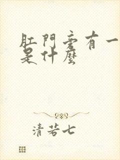 肛门旁有一肿块是什么