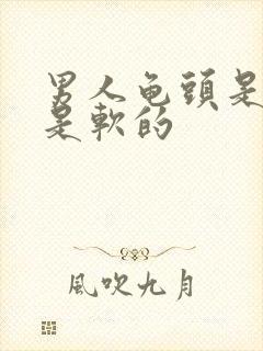 男人龟头是硬还是软的