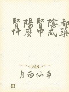 肾阳肾阴都虚吃什么中成药调理?