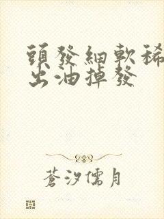 头发细软稀少爱出油掉发