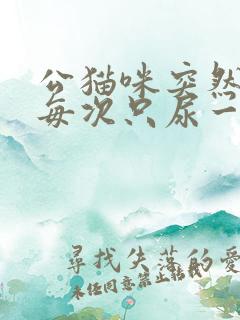 公猫咪突然尿频每次只尿一点