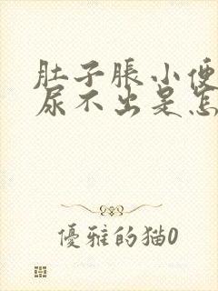 肚子胀小便也胀尿不出是怎么回事