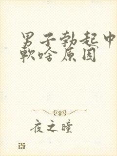 男子勃起中途变软啥原因