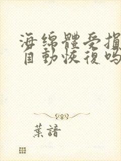 海绵体受损都会自动恢复吗