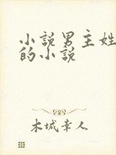 小说男主姓欧阳的小说