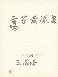 舌苔黄腻是湿热吗