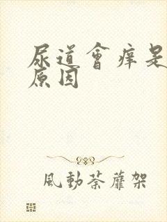 尿道会痒是什么原因