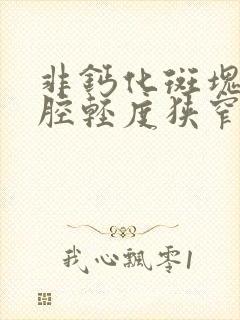 非钙化斑块,管腔轻度狭窄