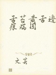 舌苔黄舌边有齿痕病因