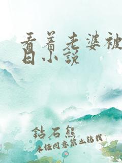 看着老婆被别人日小说