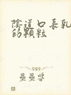 阴道口长乳白色的颗粒