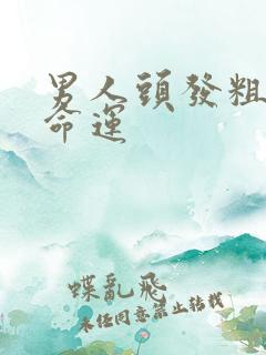 男人头发粗硬厚命运