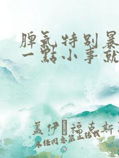 脾气特别暴躁,一点小事就很生气