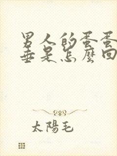 男人的蛋蛋不下垂是怎么回事