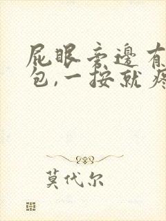 屁眼旁边有个小包,一按就疼