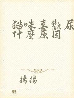 猫咪喜欢尿床是什么原因