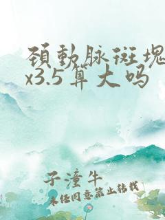 颈动脉斑块12x3.5算大吗