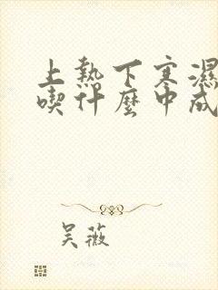 上热下寒湿气重吃什么中成药效果最好