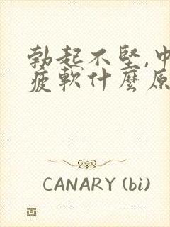 勃起不坚,中途疲软什么原因