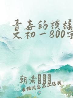 青春的模样记叙文初一800字