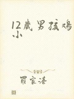 12岁男孩鸡鸡小