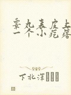 睾丸表皮上长了一个小疙瘩