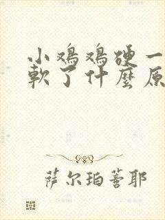 小鸡鸡硬一会就软了什么原因