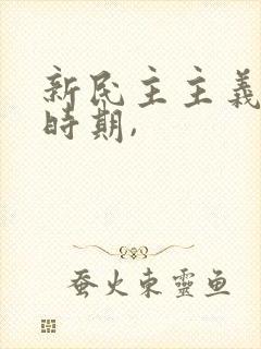 新民主主义革命时期,