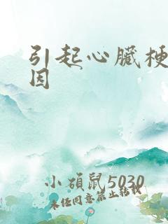 引起心脏梗的原因