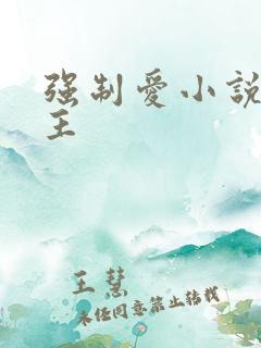 强制爱小说双男主