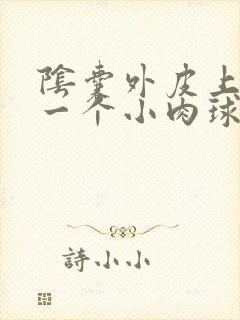 阴囊外皮上长了一个小肉球硬硬的