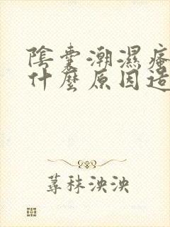 阴囊潮湿瘙痒是什么原因造成部