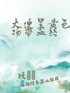 大便呈黄色粘稠物带血丝