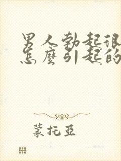 男人勃起很快软怎么引起的