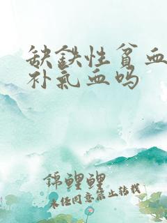 缺铁性贫血需要补气血吗