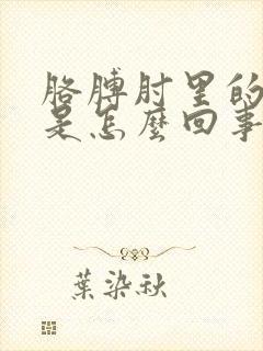 胳膊肘里的筋疼是怎么回事