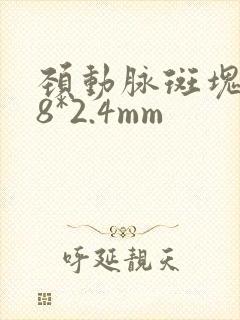 颈动脉斑块6.8*2.4mm