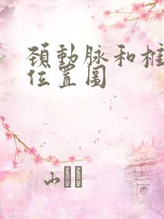 颈动脉和椎动脉位置图